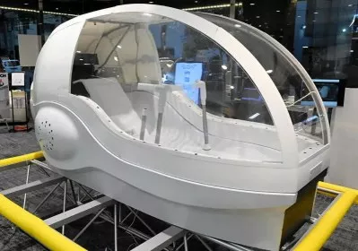 wild japan washing machine