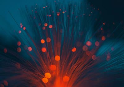 japanese fujikura apple japan fiber optics data center cable management